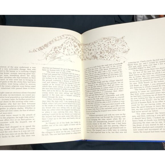 Vavras Cats by Robert Vavra Hardcover 1st Ed1996 Dust Jacket Pets kitten - Picture 13 of 14